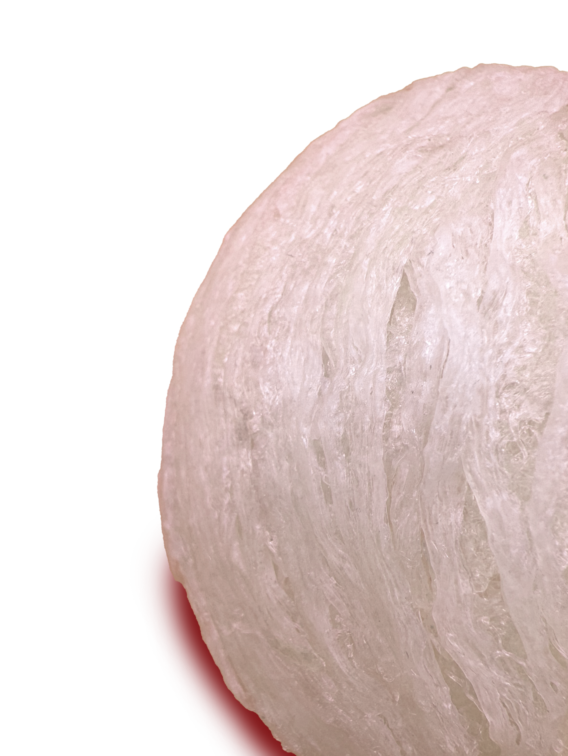 Gia công Yến sào xuất khẩu tổ định hình A5 - cover 2