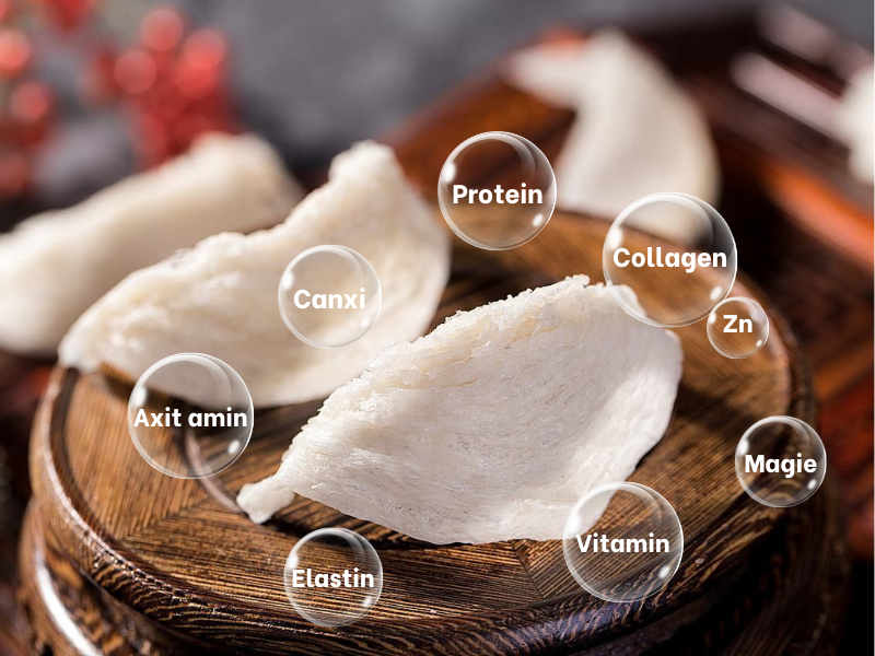 燕窝中的特殊营养成分