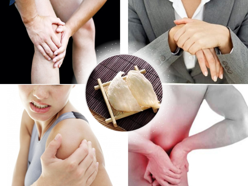 燕窝中对骨骼与关节有益的重要营养成分