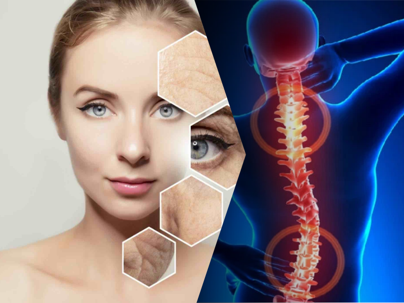 现代生活中骨骼与关节健康及皮肤老化的概述