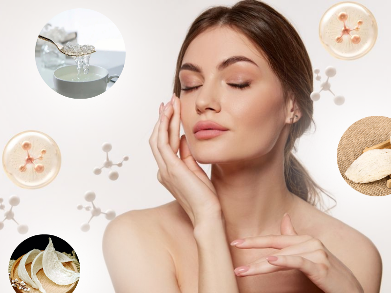 燕窝及其支持胶原蛋白生成的营养成分