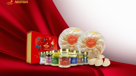 hộp yến sào tặng gia đình